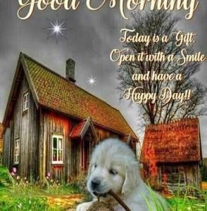 Meet your Posher, Rita